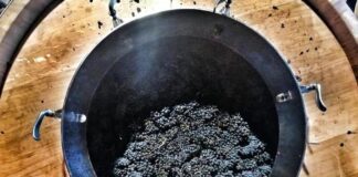 Alla cantina Sùentu di Sanluri, le tre nuove stelle Michelin della Sardegna