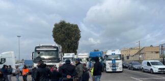 Blocchi degli autotrasportatori: varchi per merci deperibili