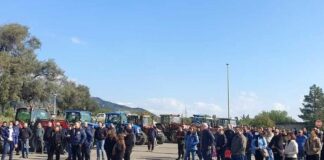 Caro materie prime, nuova protesta degli allevatori il 2 aprile a Ozieri