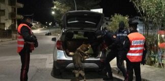 Spari in Friuli: disposta autopsia su corpo anziano