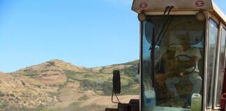 L’import della Sardegna vale cinque miliardi l’anno
