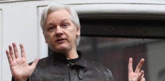 Assange si sposa oggi, cerimonia in carcere