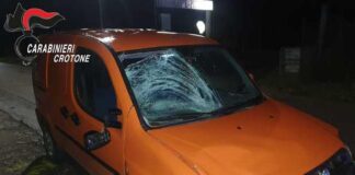 Bambina ucraina investita e morta, denunciato diciottenne