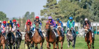 Il galoppo sardo non passa in cavalleria