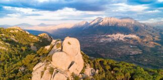 La Sardegna degli alberi perduti: sul disboscamento docufilm del nuorese Bussalai