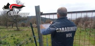 Villagrande Strisaili: traffico illecito di rifiuti, 9 indagati