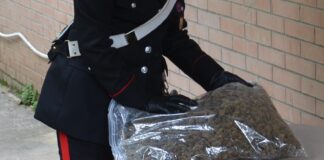 Sette tonnellate di marjiuana in un capannone a Capoterra: 54enne arrestato