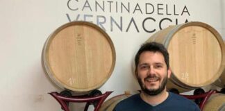 Vinitaly, l’isola in mostra a Verona: clienti anche dal Vietnam