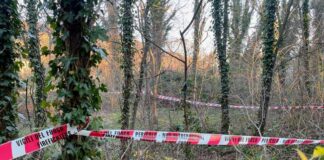 Donna morta Trieste: consulente, non voleva uccidersi