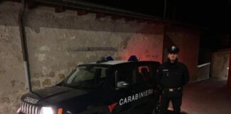 Ex insegnante uccisa, chiusa l’indagine sul cugino