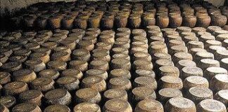 Fiore sardo, i pastori saranno parte lesa contro gli industriali