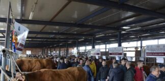 Fiera di Ozieri, weekend con oltre 15mila presenze
