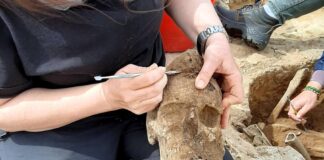 «A Mont’e Prama una civiltà sepolta»