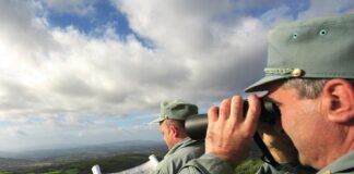 Al concorso regionale per 78 agenti forestali oltre 12mila domande