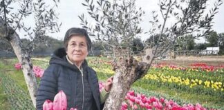 Il giardino di Lu: dai tulipani 25mila euro alla ricerca