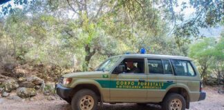 Vallermosa, individuato e arrestato un incendiario seriale