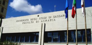 Lavoro, servono laureati ma calano gli iscritti