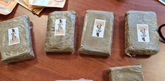Droga: hashish marchiato “Gucci” e soldi falsi, preso 19 enne