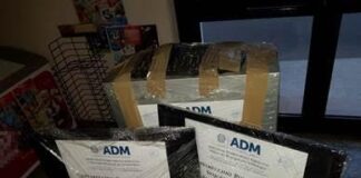 Scommesse sportive illegali, barista di Sanluri nei guai