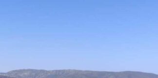 Caso prezzi all’Asinara: «Trenino troppo costoso»