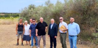 Sassari, 8 ettari alla coop Differenze: prende piede l’agricoltura sociale