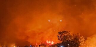 Campagna antincendi a rischio, rimborso chilometrico: Forestas è in subbuglio